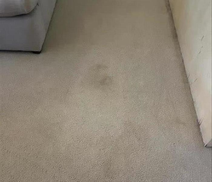 Carpet in den with stains 