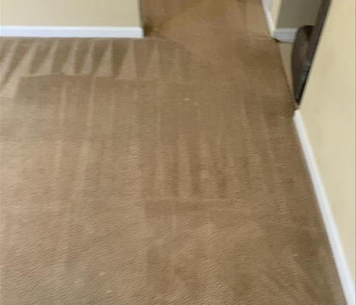 Clean carpet at a home in Newberry, SC 