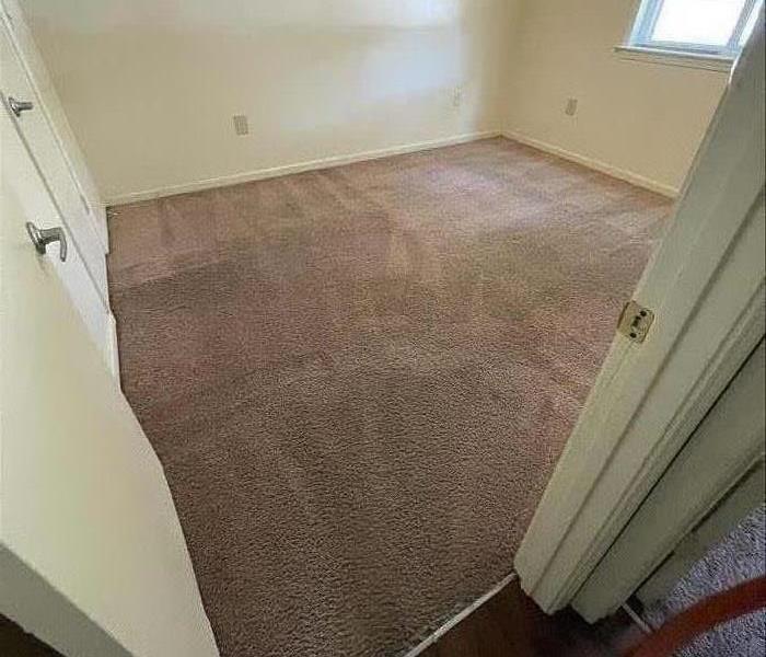 Clean carpet after a SERVPRO professional clean