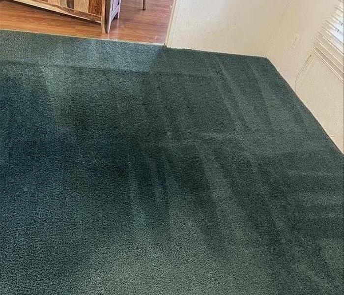 Carpet cleaning after the SERVPRO technicans cleaned in Waterloo SC 