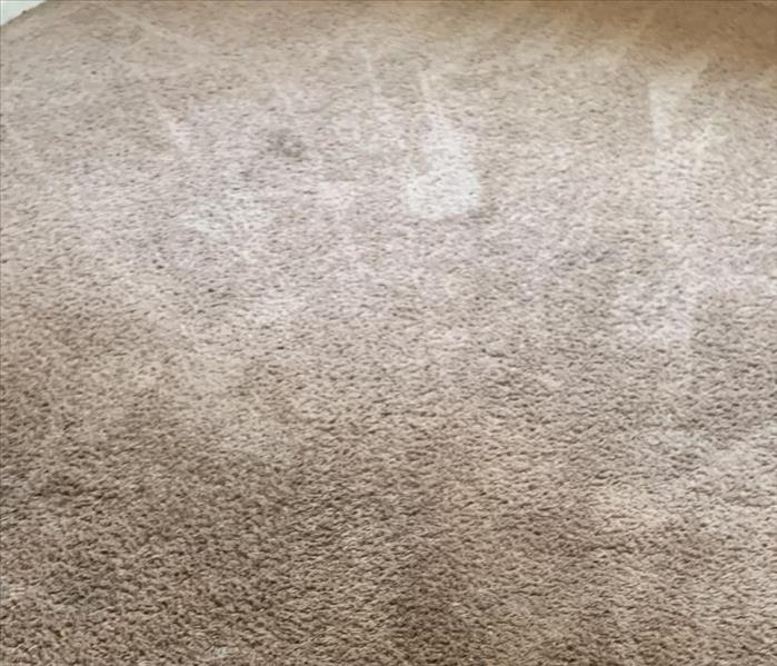 The same carpet after a SERVPRO cleaning 