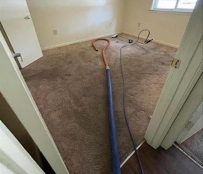 Dirty Carpet in an apartment bedroom 