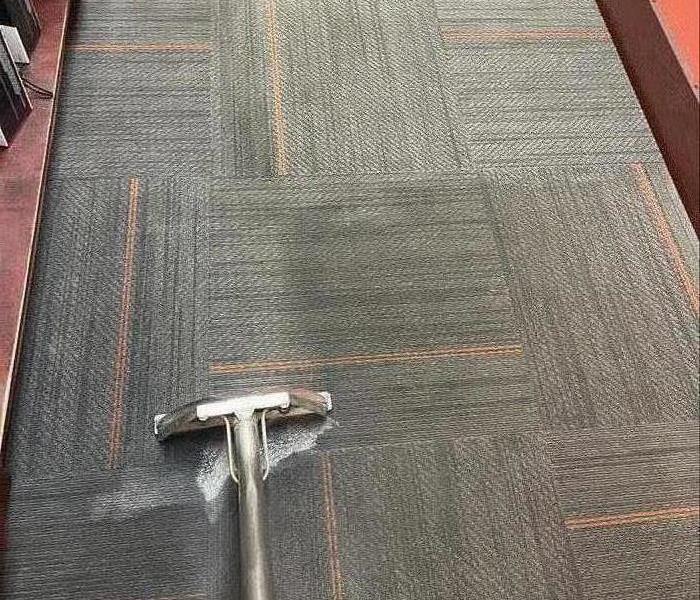 Carpet Cleaning in Newberry, SC