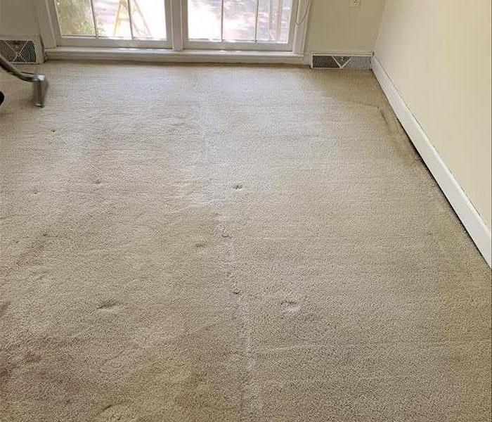 SERVPRO tech getting the carpet clean at a home in Newberry, SC