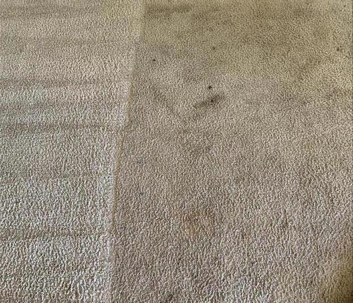 A side by side carpet cleaning of before and after at an apartment in Newberry, SC