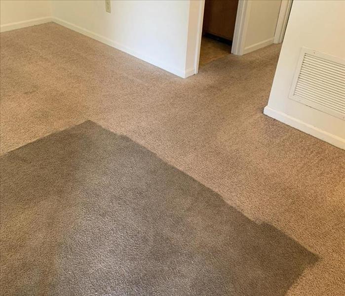 Before and After Results of an Carpet Cleaning in Laurens SC 