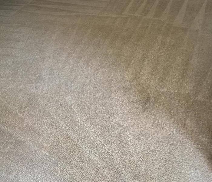 Carpet cleaning results in Clinton, SC 