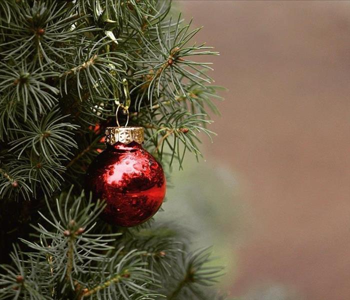Christmas Ball on a Tree